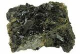 Lustrous, Epidote Crystal Cluster on Actinolite - Pakistan #164850-3